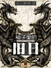 旧的箱子长什么样子