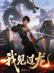 我见过龙无错版