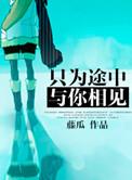 只为途中与你相见歌词
